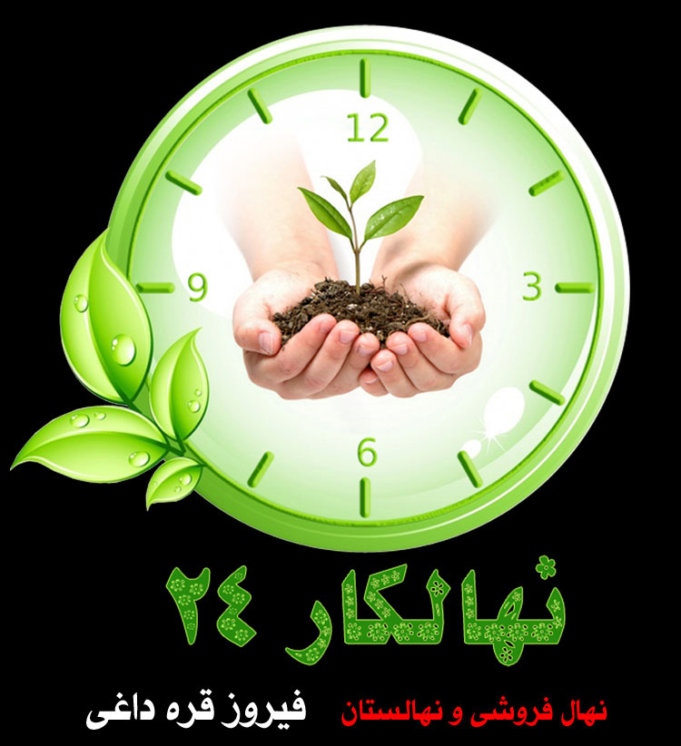 نهالستان , نهال فروشی ,  نهال ,  فروش نهال ,  نهال گردو ,  خرید نهال , نهال سیب , نهال گلابی , نهال گیلاس , نهال آلو , نهال توت , نهال بادام , نهال پسته , نهال زردالو ,  ,  نهالستان فیروز قره داغی , فیروز قره داغی